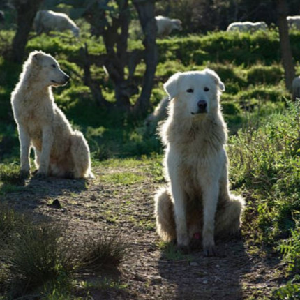 Le 8:30 avec France Nature Environnement 04 Le 8:30 avec France Nature Environnement 04