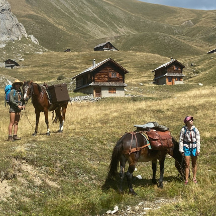 Le 8:30 avec le Comité départemental du Tourisme Équestre des Hautes-Alpes Le 8:30 avec le Comité départemental du Tourisme Équestre des Hautes-Alpes