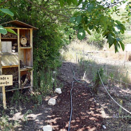 Près de chez vous au sein de la micro-forêt du Hérisson à Villeneuve Près de chez vous au sein de la micro-forêt du Hérisson à Villeneuve