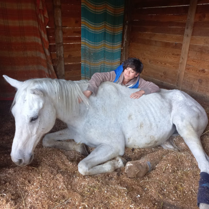 Près de chez vous avec l'Arche de Chachou Près de chez vous avec l'Arche de Chachou