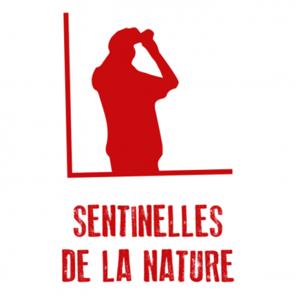 Près de chez vous avec les Sentinelles de la Nature Près de chez vous avec les Sentinelles de la Nature