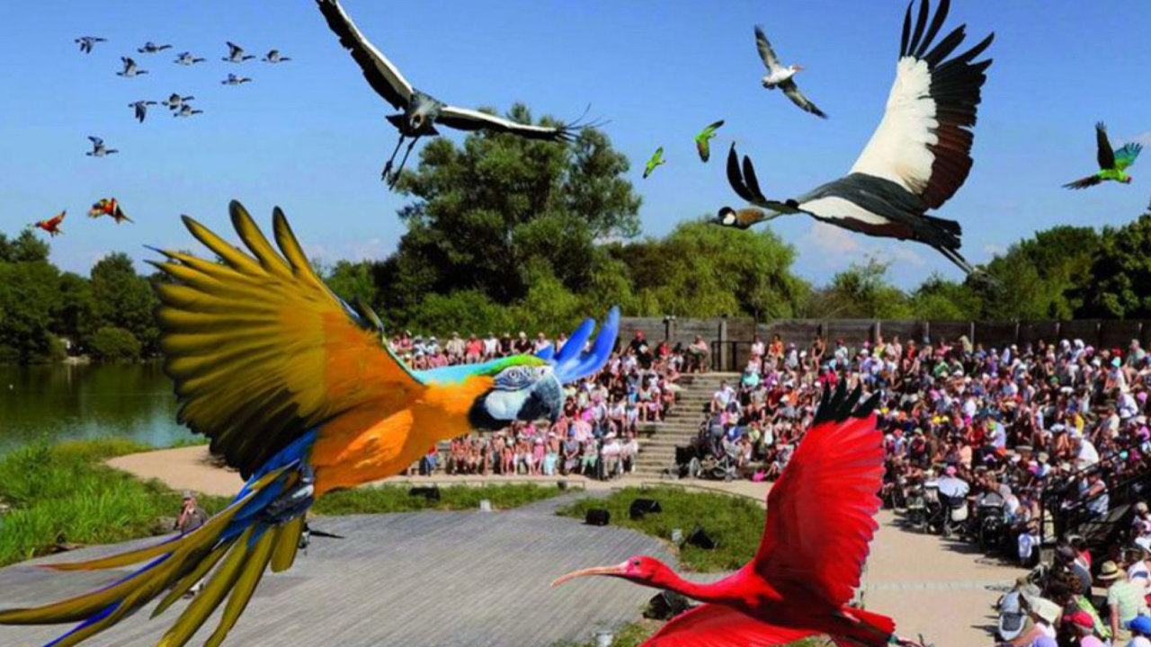 Évadez-vous en Auvergne-Rhône-Alpes au Parc des Oiseaux ! Évadez-vous en Auvergne-Rhône-Alpes au Parc des Oiseaux !